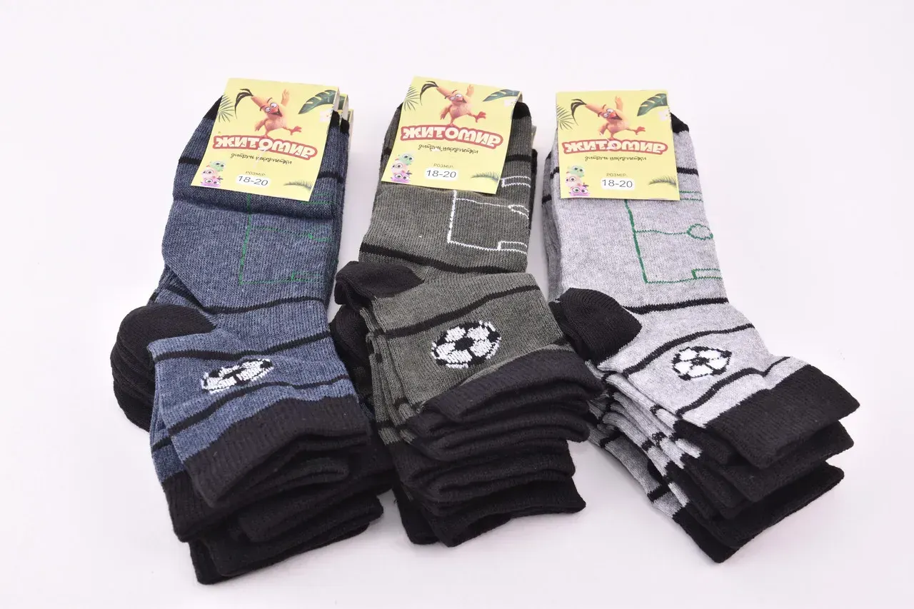 Шкарпетки дитячі на хлопчика "Житомир" бавовна